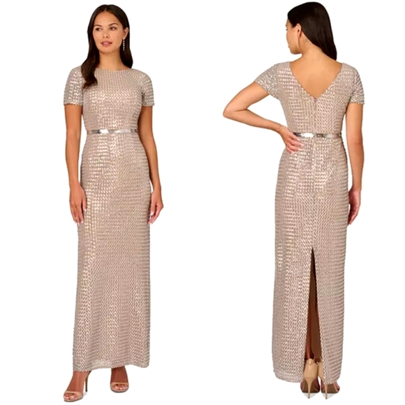 Nwot Adrianna Pappel Shortsleeve Silver Sequin Luxe Mesh/Tan Column Form… - Picture 6 of 17